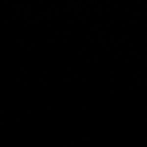 Meet your Posher, Trevion